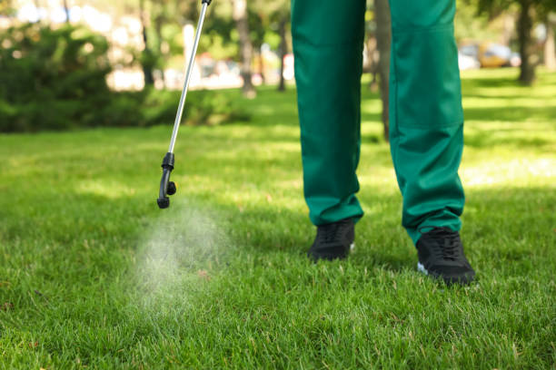 Best Pest Removal Services  in Otsego, MI