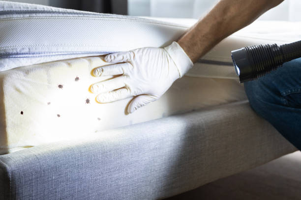 Flea Control Services in Otsego, MI