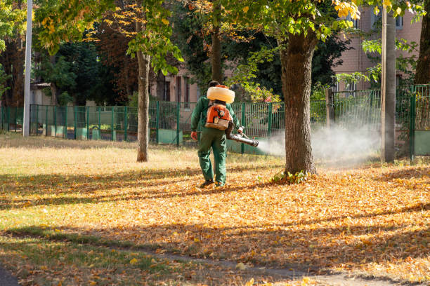 Best Wildlife Control Services  in Otsego, MI