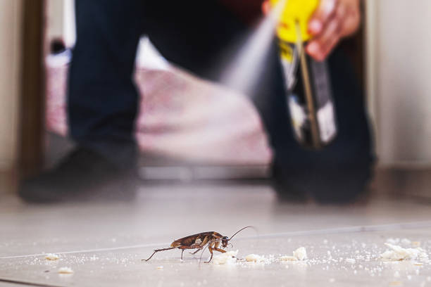 Best Mosquito Control Services  in Otsego, MI