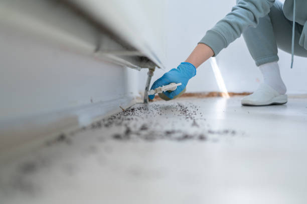 Best Pest Control Treatment  in Otsego, MI
